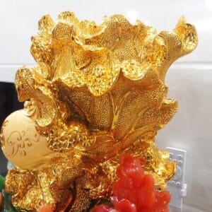 Cây phát lộc - Bắp cải phong thủy may mắn tài lộc C01 20220208 160659