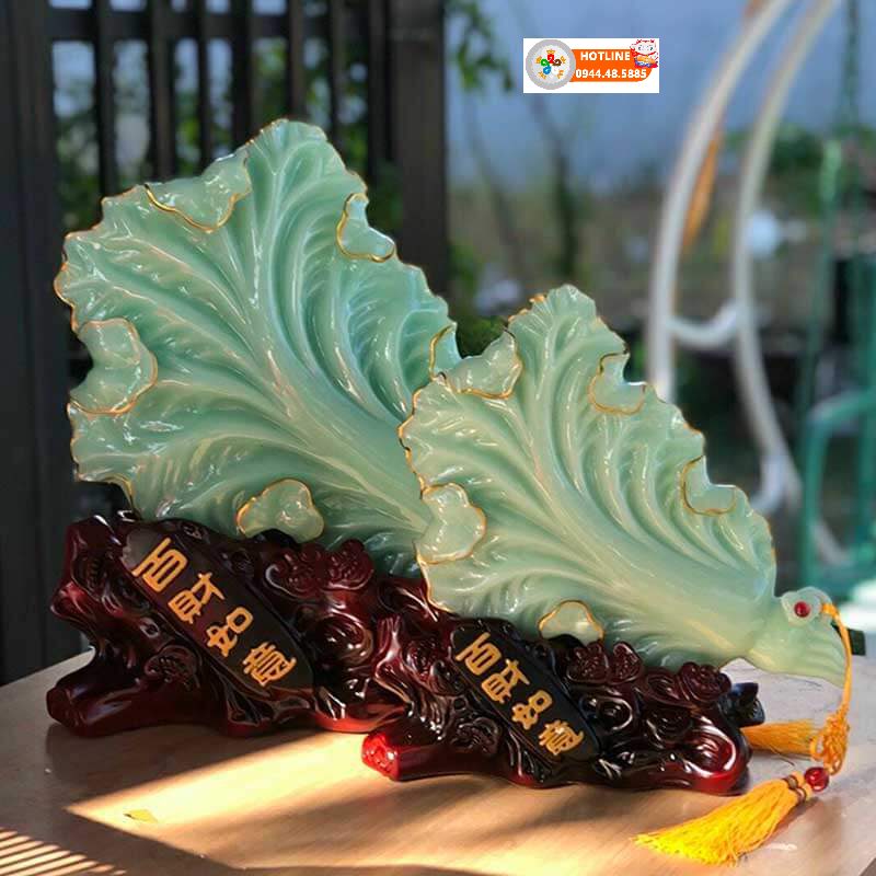 Bắp cải phong thủy đặt ở đâu
