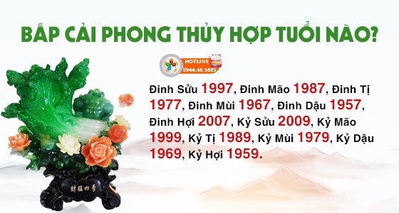 Bắp cải phong thủy hợp với mệnh nào