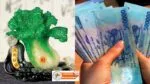 Ý nghĩa Bắp cải phong thủy