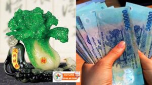 Ý nghĩa Bắp cải phong thủy
